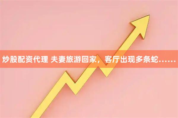 炒股配资代理 夫妻旅游回家，客厅出现多条蛇……