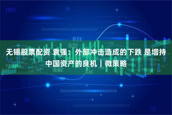 无锡股票配资 袁强：外部冲击造成的下跌 是增持中国资产的良机｜微策略